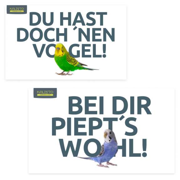 bei dir piepts wohl