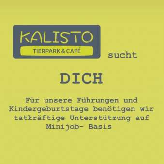 Kalisto sucht dich Kalisto sucht dich