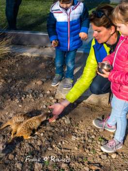 LAGA BESUCH 1 449 LAGA BESUCH 1 449