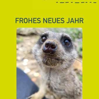 Neujahr Neujahr