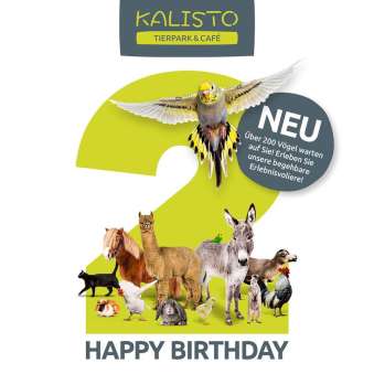 geburtstag geburtstag